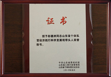 2008年山东省个体私营经济践行科学发展观带头人