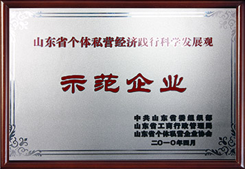 2010年山东省个体私营经济践行科学发展观示范企业